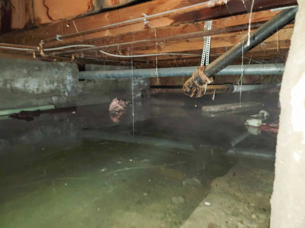 Best 24/7 water damage repair  in Albany, GA