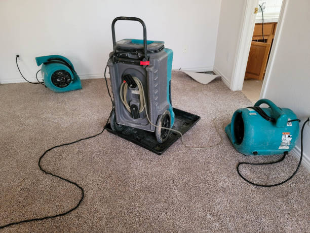 Best Sewage cleanup and water damage restoration  in Albany, GA