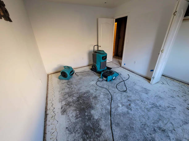 Best Water damage cleanup near me  in Albany, GA
