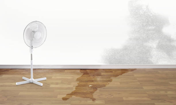 Local water damage restoration in Albany, GA