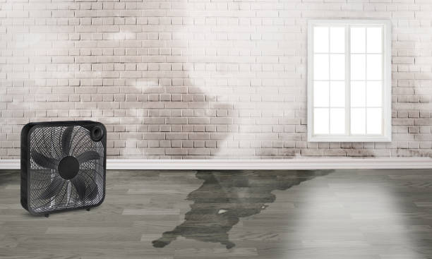 Reliable Albany, GA Water damage restoration Solutions