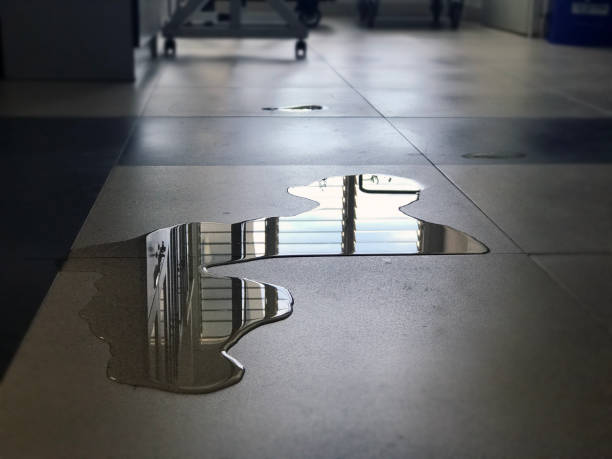 Best 24/7 water damage repair  in Albany, GA