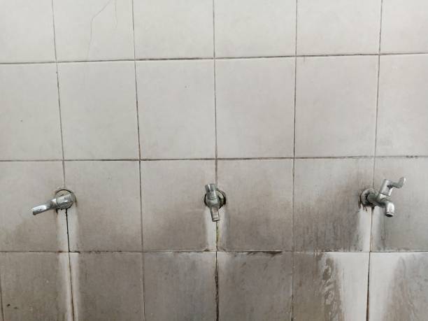 Best Ceiling water damage repair  in Albany, GA