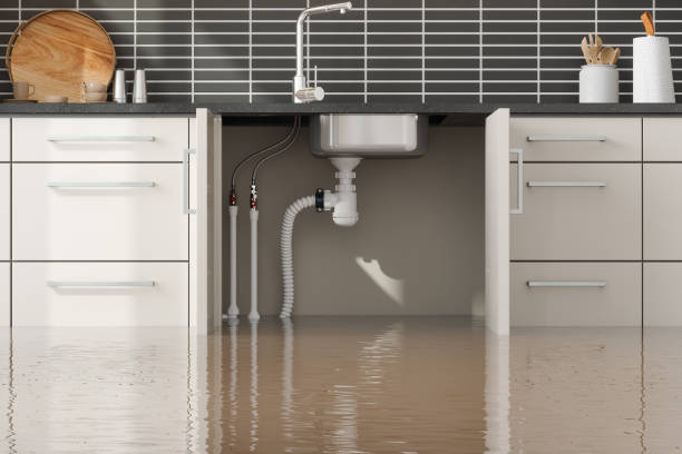 Best Flooded house restoration  in Albany, GA
