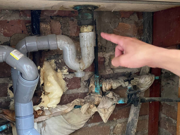 Best Fire Damage Restoration  in Albany, GA