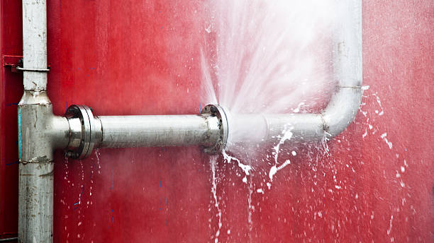 Best Local water damage restoration  in Albany, GA